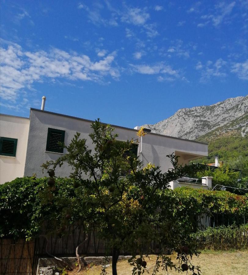 Apartmani Lovora Gradac  Exteriér fotografie